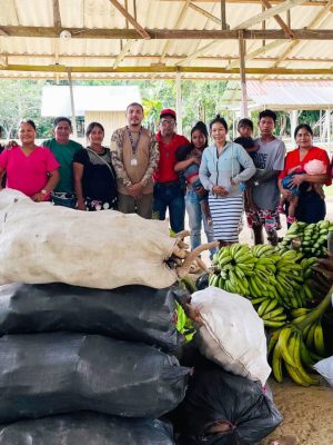 O Governo do Amazonas adquiriu, nesta segunda-feira (10), mais de duas toneladas de alimentos da agricultura familiar indígena no município de São Paulo de Olivença (a 985 quilômetros de Manaus). A ação faz parte do Programa de Aquisição de Alimento (PAA) da modalidade indígena, do Governo Federal, executado pelo Governo do Amazonas, por meio da Secretaria de Produção Rural (Sepror).