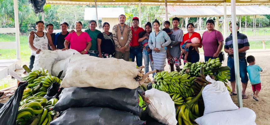 O Governo do Amazonas adquiriu, nesta segunda-feira (10), mais de duas toneladas de alimentos da agricultura familiar indígena no município de São Paulo de Olivença (a 985 quilômetros de Manaus). A ação faz parte do Programa de Aquisição de Alimento (PAA) da modalidade indígena, do Governo Federal, executado pelo Governo do Amazonas, por meio da Secretaria de Produção Rural (Sepror).